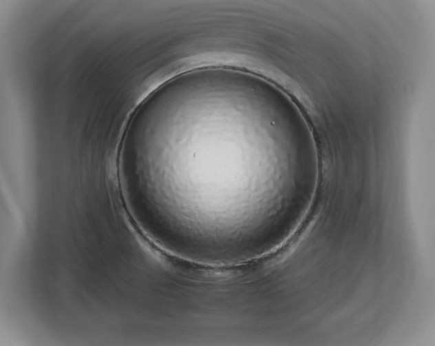 X0000113071521200909041047