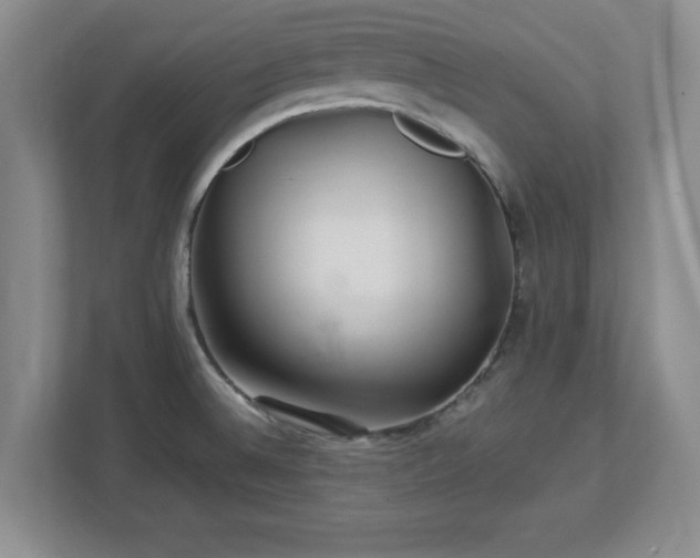 X0000113071524200909041047