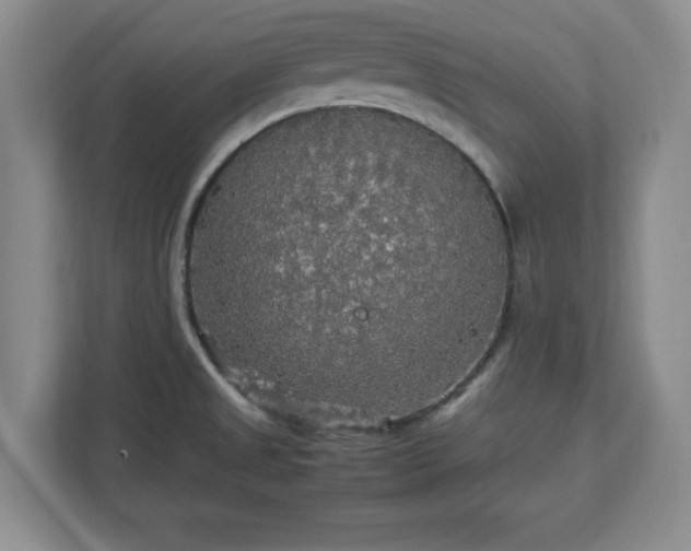 X0000113071525200909041047