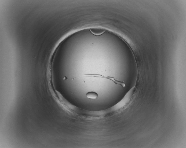 X0000113071526200909041048