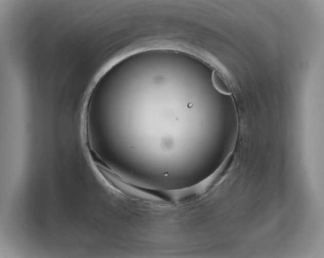 X0000113071528200909041048