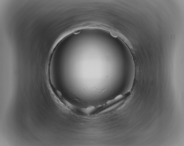 X0000113071530200909041048