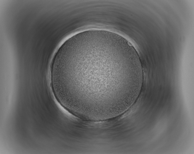 X0000113071531200909041048