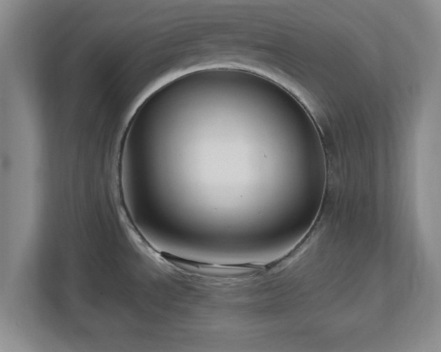 X0000113071534200909041048