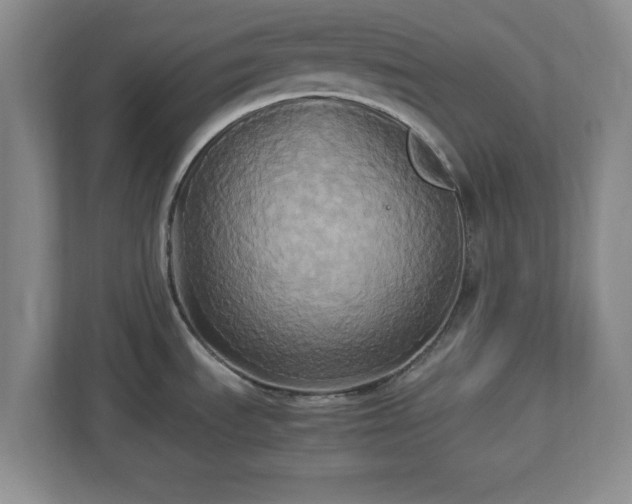 X0000113071535200909041048