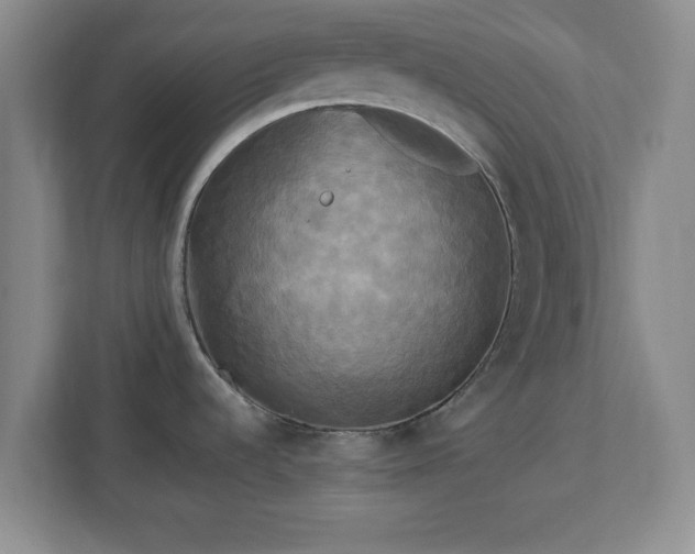 X0000113071536200909041048