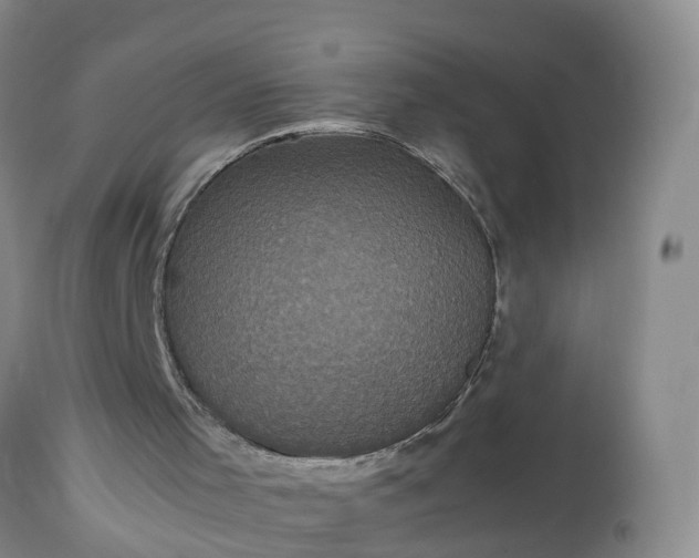 X0000113070001200909110951