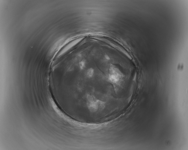 X0000113070002200909110951