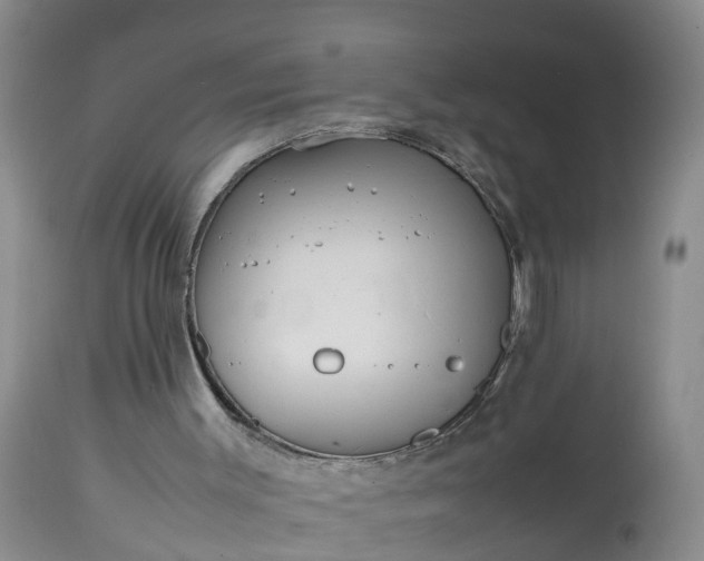 X0000113070003200909110951