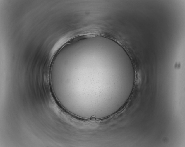 X0000113070004200909110951