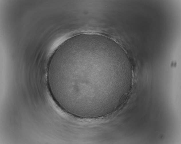 X0000113070005200909110951