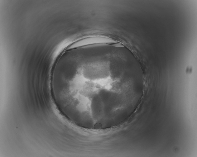 X0000113070006200909110951