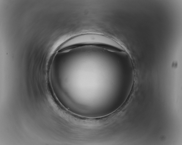 X0000113070008200909110951