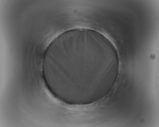 X0000113070009200909110951