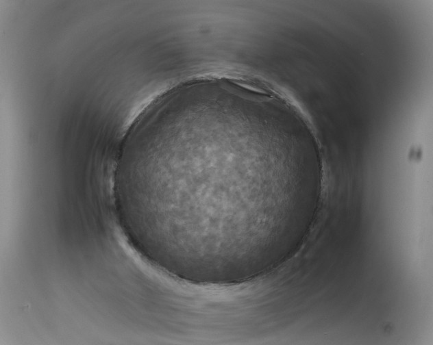 X0000113070010200909110951