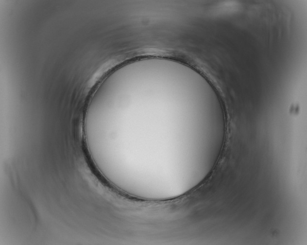 X0000113070011200909110951