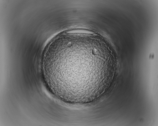 X0000113070012200909110951