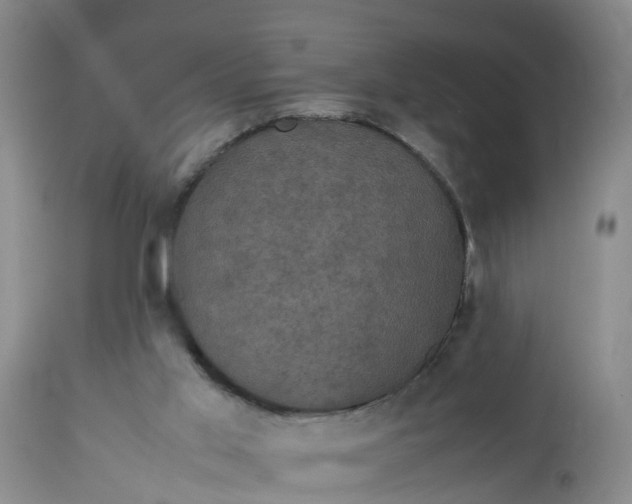 X0000113070013200909110951