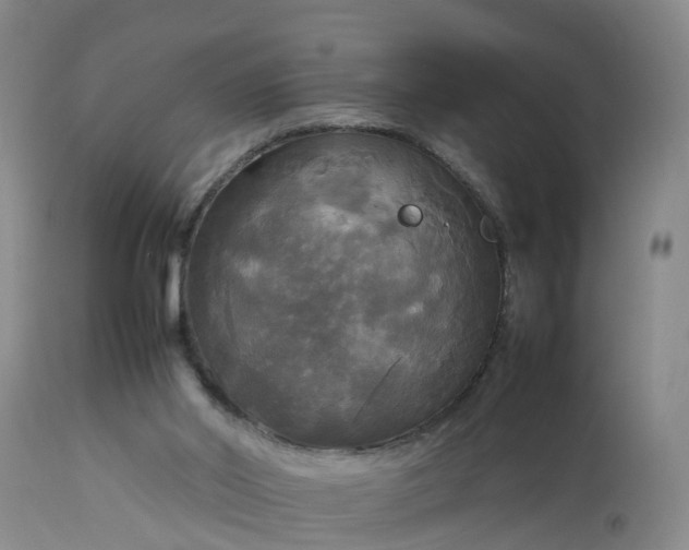 X0000113070014200909110951