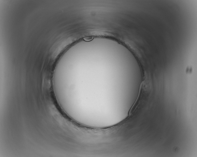 X0000113070015200909110951