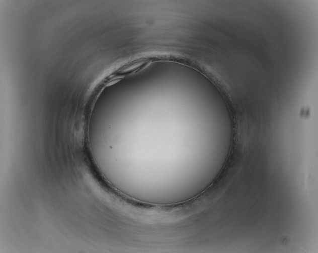 X0000113070016200909110951