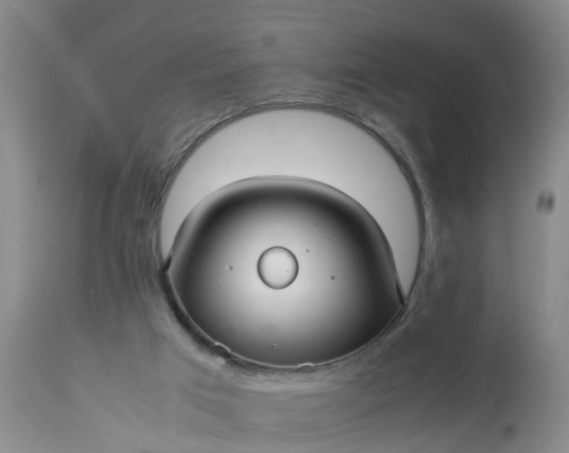 X0000113070017200909110951