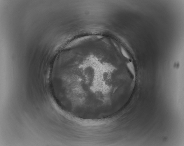 X0000113070018200909110951