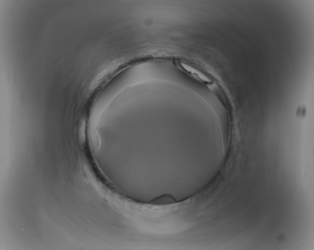 X0000113070019200909110951