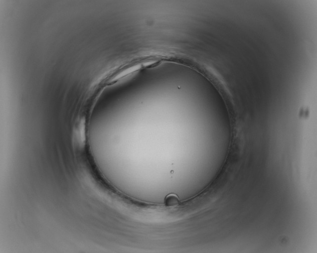 X0000113070020200909110951