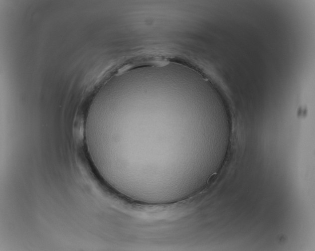 X0000113070021200909110951