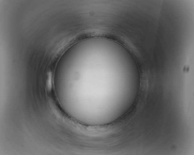 X0000113070022200909110951