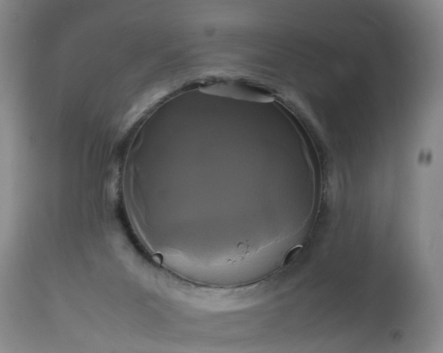 X0000113070023200909110951