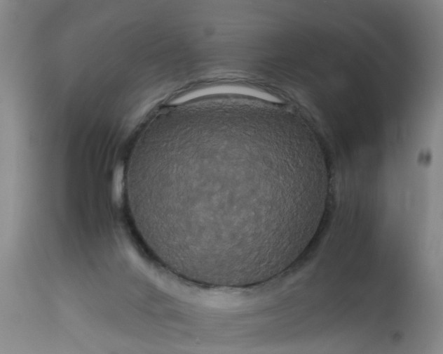 X0000113070024200909110951