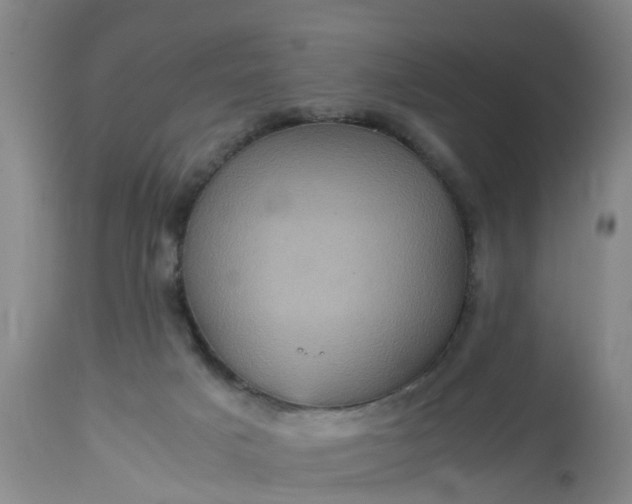 X0000113070025200909110951