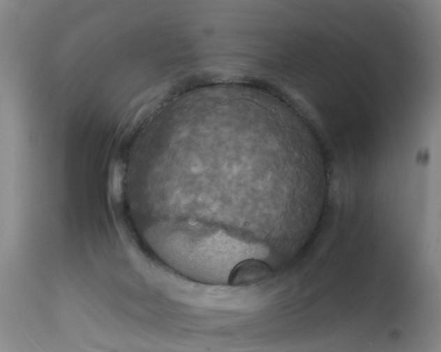 X0000113070026200909110951