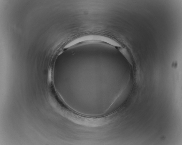 X0000113070027200909110951