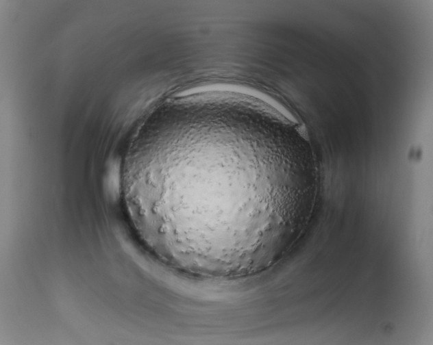 X0000113070028200909110951