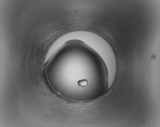 X0000113070029200909110951