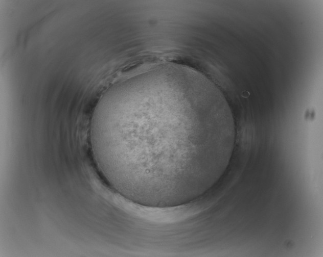 X0000113070030200909110951