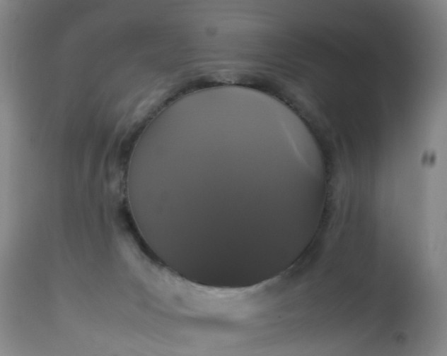 X0000113070031200909110951