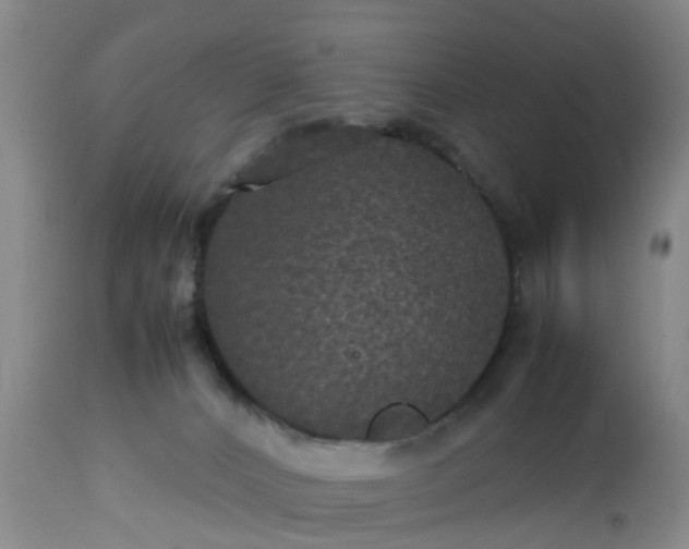 X0000113070032200909110951