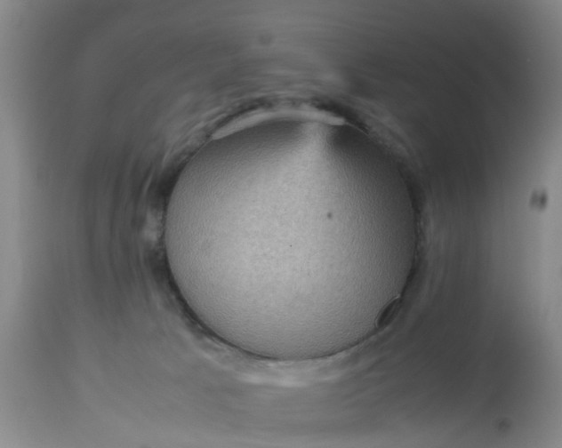 X0000113070033200909110951