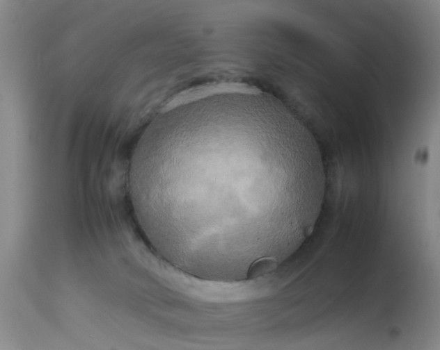 X0000113070034200909110951