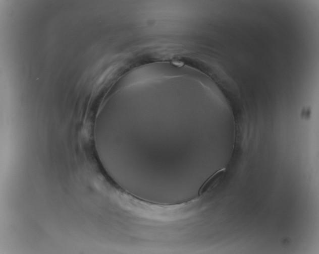 X0000113070035200909110950