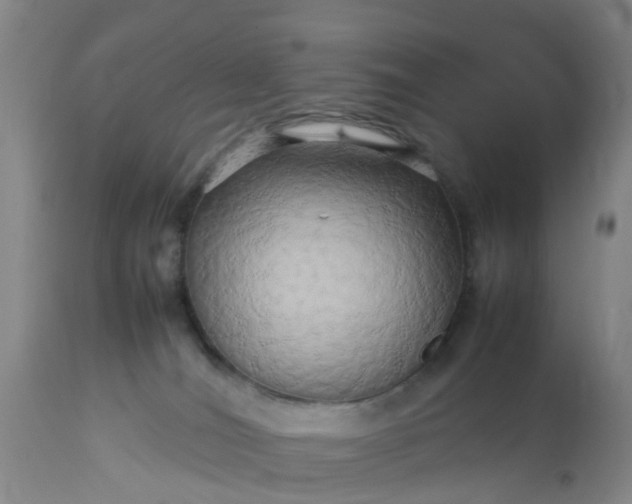 X0000113070036200909110950