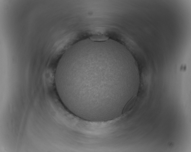 X0000113070037200909110950