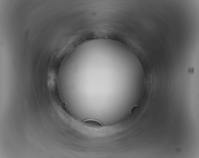 X0000113070038200909110950