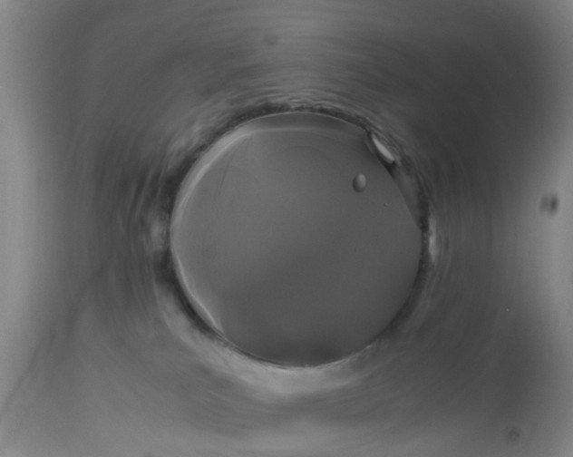 X0000113070039200909110950