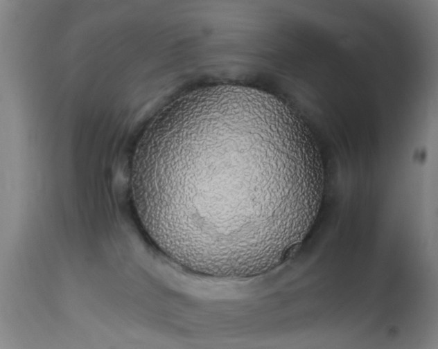 X0000113070040200909110950