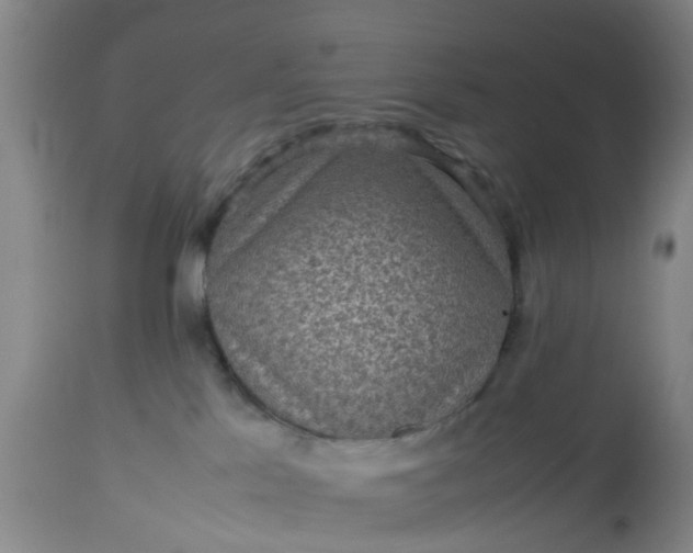 X0000113070041200909110950